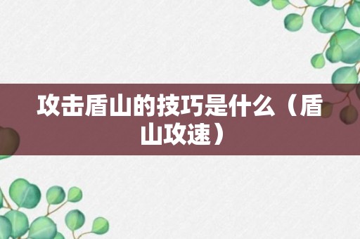 攻击盾山的技巧是什么（盾山攻速）