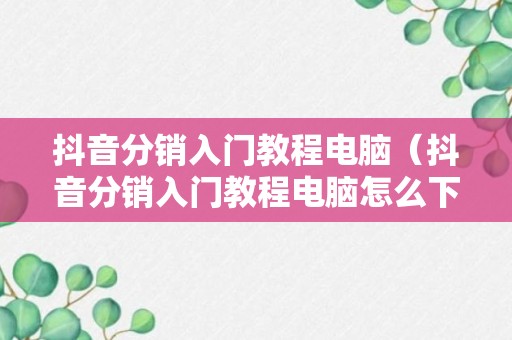 抖音分销入门教程电脑（抖音分销入门教程电脑怎么下载）