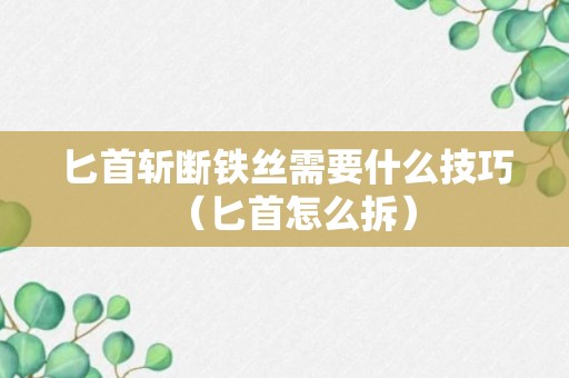 匕首斩断铁丝需要什么技巧（匕首怎么拆）