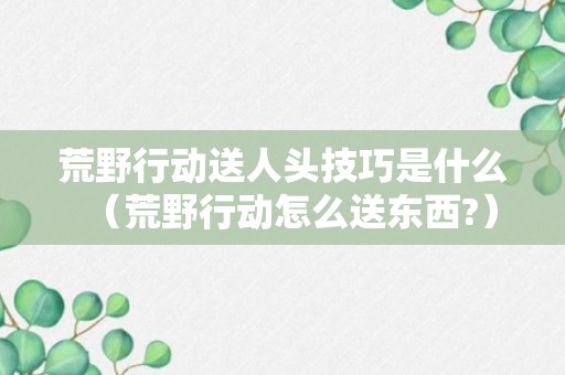 荒野行动送人头技巧是什么（荒野行动怎么送东西?）