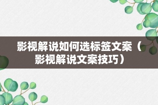 影视解说如何选标签文案（影视解说文案技巧）