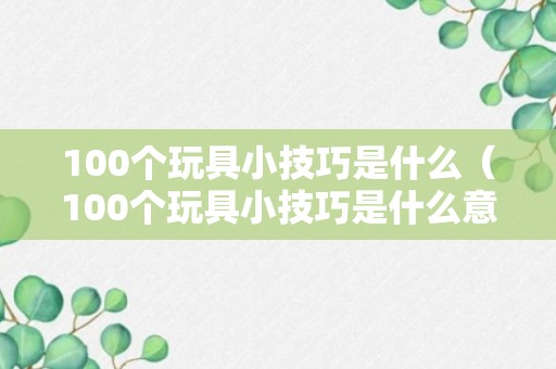 100个玩具小技巧是什么（100个玩具小技巧是什么意思）